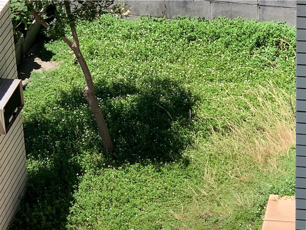 f:id:tantanutakey:20230716133737j:image