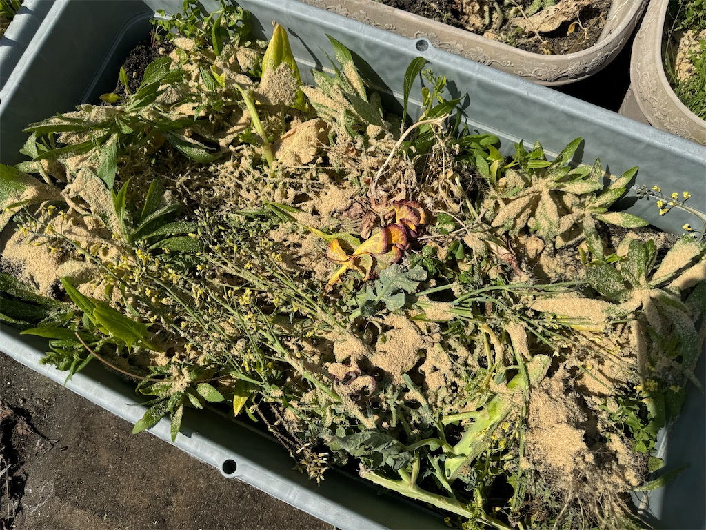 f:id:tantanutakey:20240415055622j:image