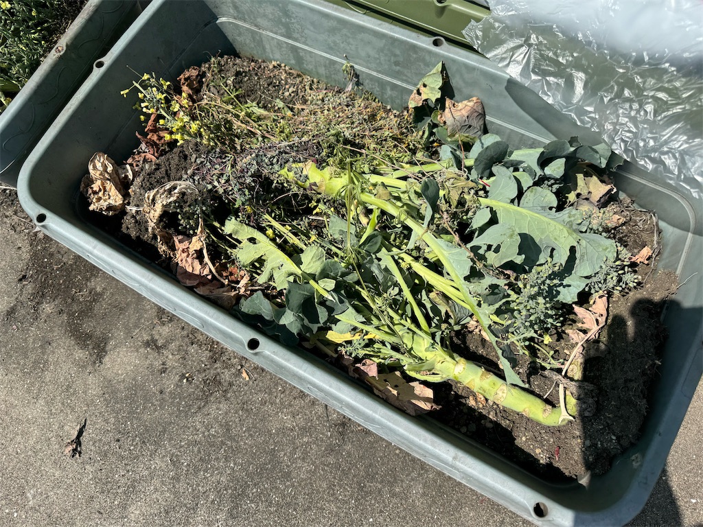 f:id:tantanutakey:20240415055630j:image