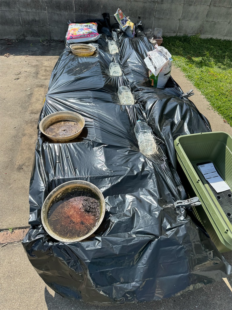 f:id:tantanutakey:20240415055644j:image