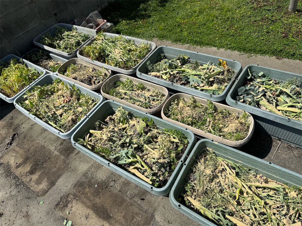 f:id:tantanutakey:20240415055651j:image