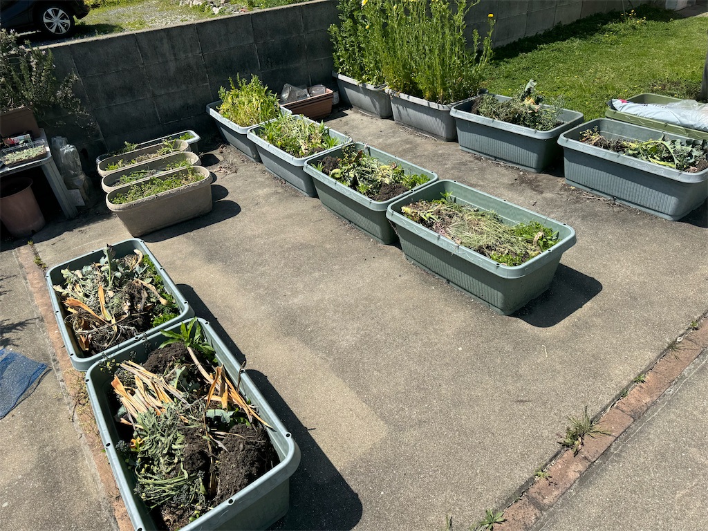 f:id:tantanutakey:20240415055702j:image