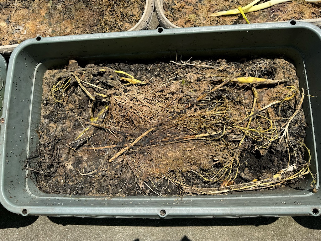 f:id:tantanutakey:20240512104327j:image