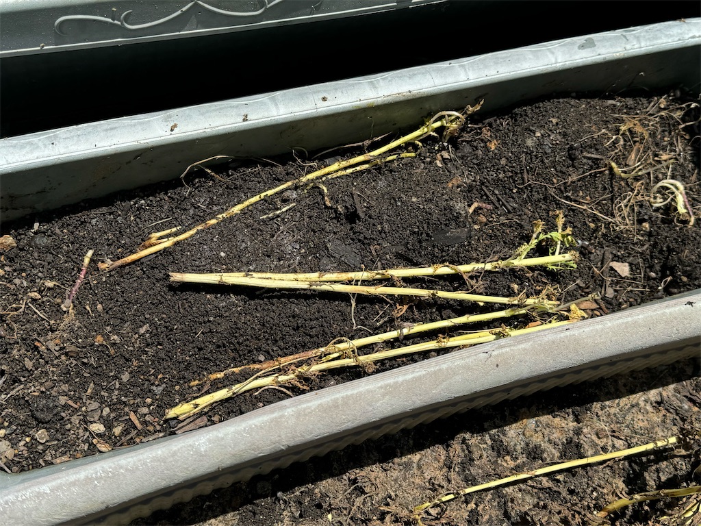 f:id:tantanutakey:20240512104343j:image