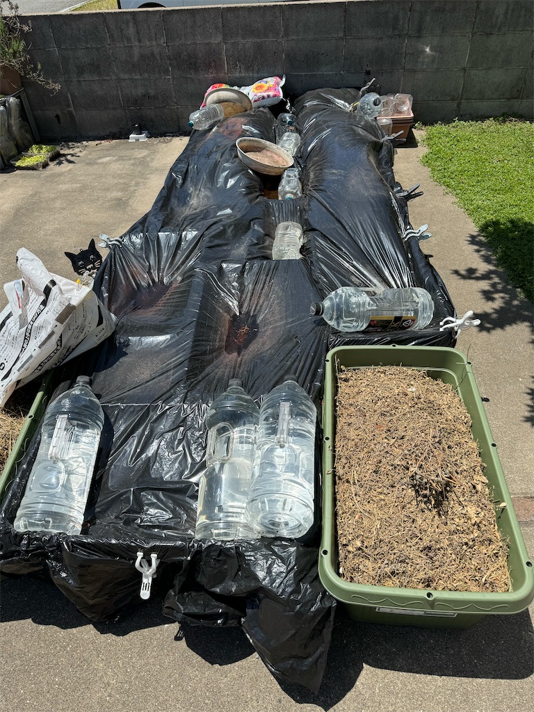 f:id:tantanutakey:20240512104346j:image