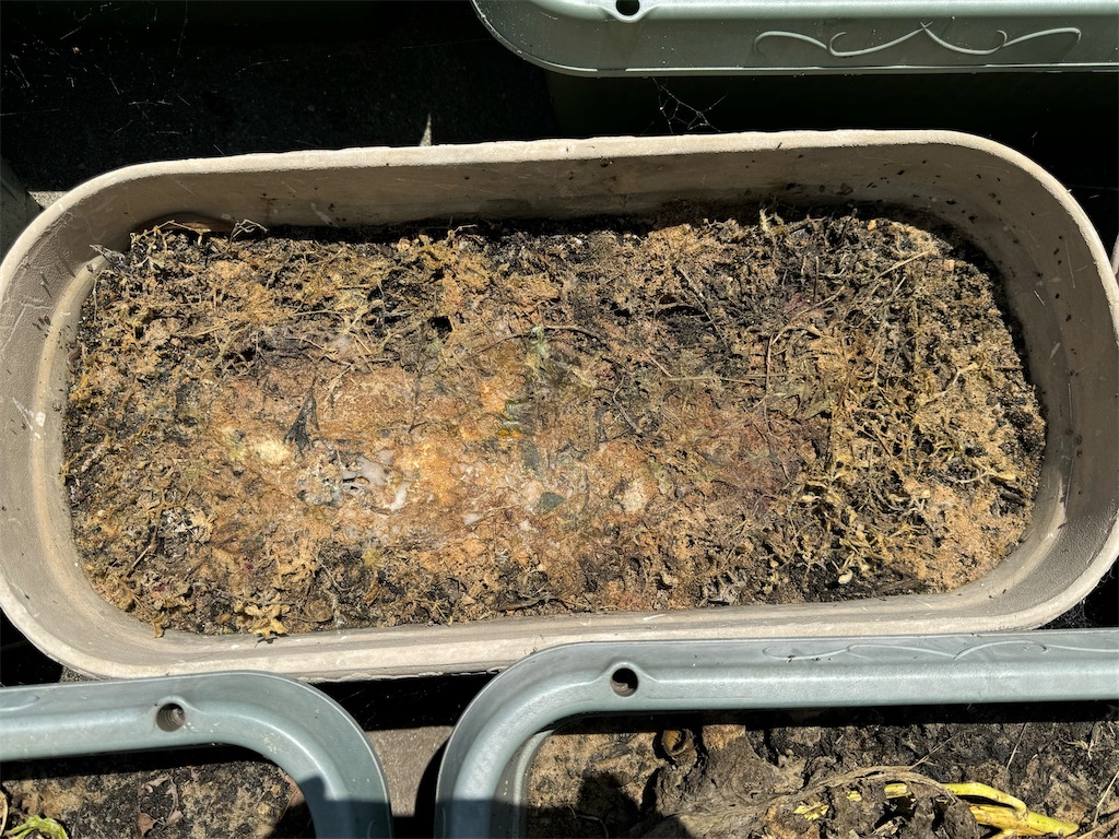 f:id:tantanutakey:20240512104349j:image