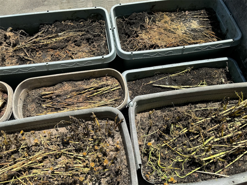 f:id:tantanutakey:20240512104352j:image