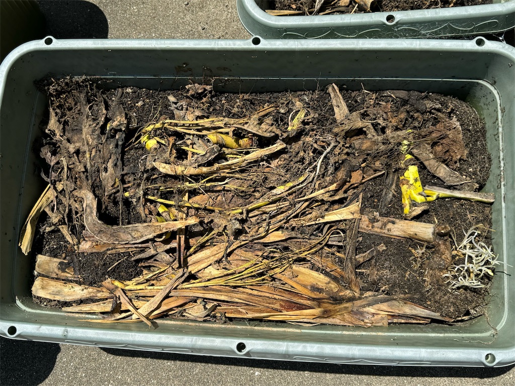 f:id:tantanutakey:20240512104358j:image