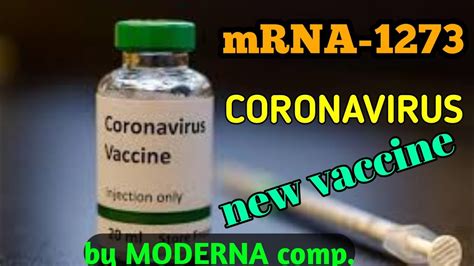 f:id:tantotempo:20211103165622j:plain