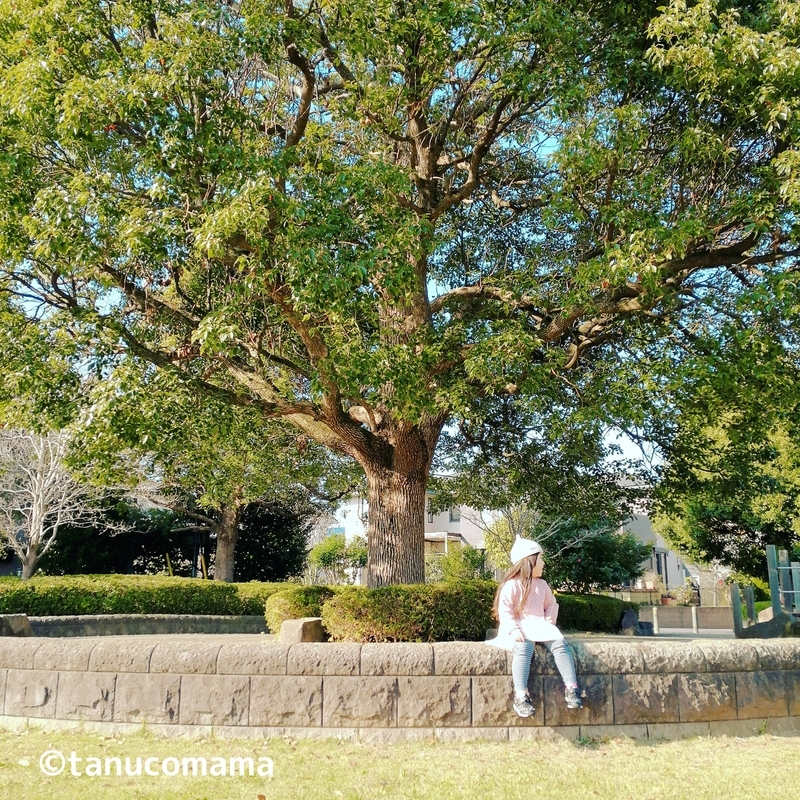娘と公園