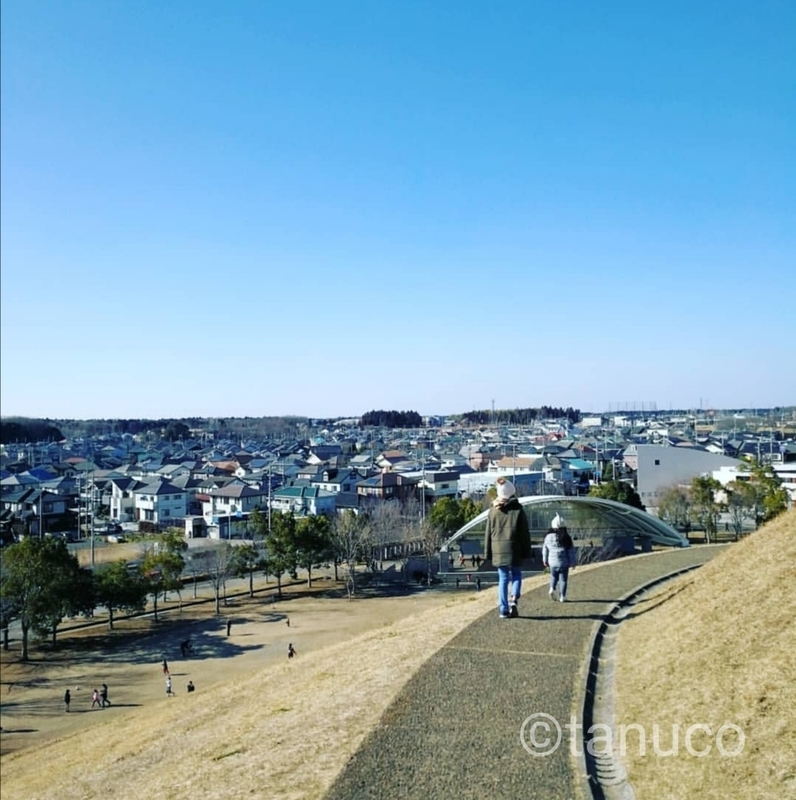 f:id:tanucomama:20191208190738j:plain f:id:tanucomama:20191208190738j:plain