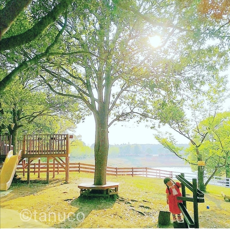 f:id:tanucomama:20191208190746j:plain f:id:tanucomama:20191208190746j:plain