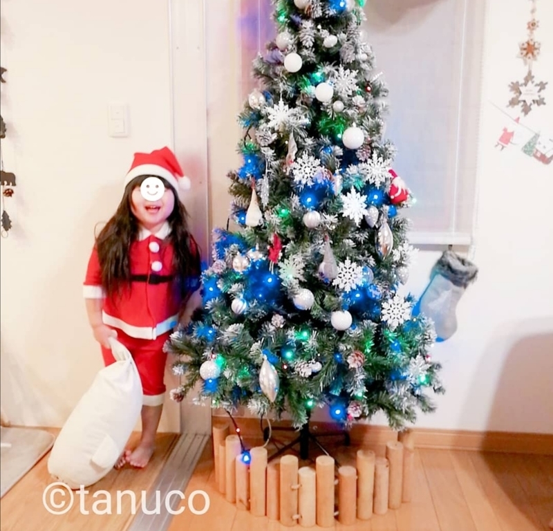 f:id:tanucomama:20191227160702j:plain f:id:tanucomama:20191227160702j:plain
