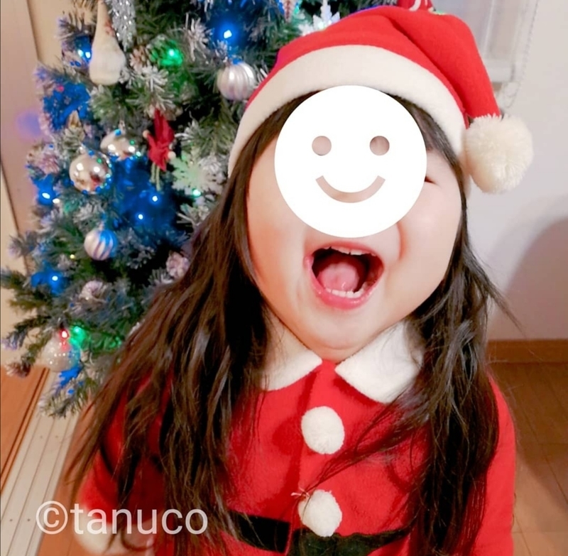 f:id:tanucomama:20191227160716j:plain f:id:tanucomama:20191227160716j:plain