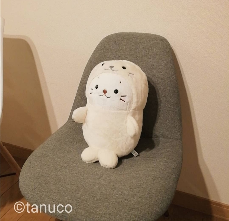 f:id:tanucomama:20191227211033j:plain f:id:tanucomama:20191227211033j:plain