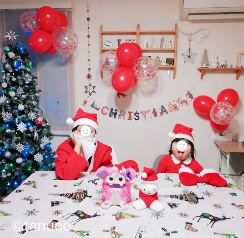 f:id:tanucomama:20191227224014j:plain f:id:tanucomama:20191227224014j:plain
