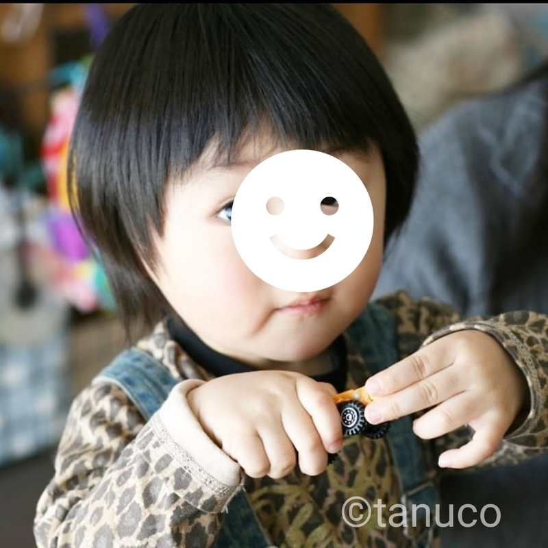 f:id:tanucomama:20200110140158j:plain f:id:tanucomama:20200110140158j:plain