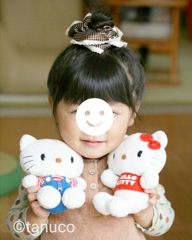 f:id:tanucomama:20200110152139j:plain f:id:tanucomama:20200110152139j:plain