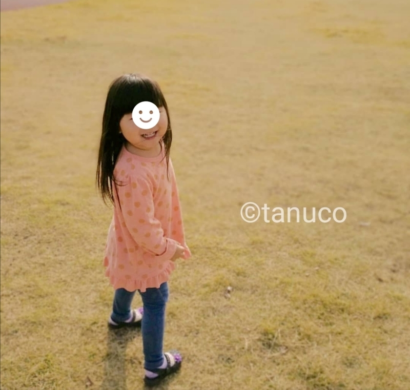 f:id:tanucomama:20200110230716j:plain f:id:tanucomama:20200110230716j:plain