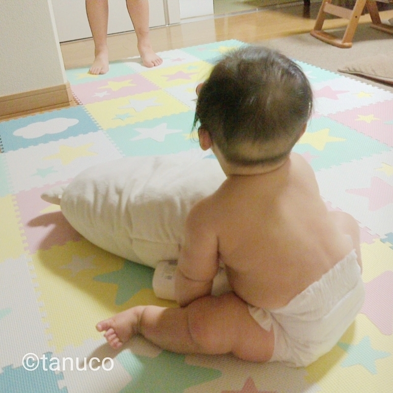 f:id:tanucomama:20200111131548j:plain f:id:tanucomama:20200111131548j:plain