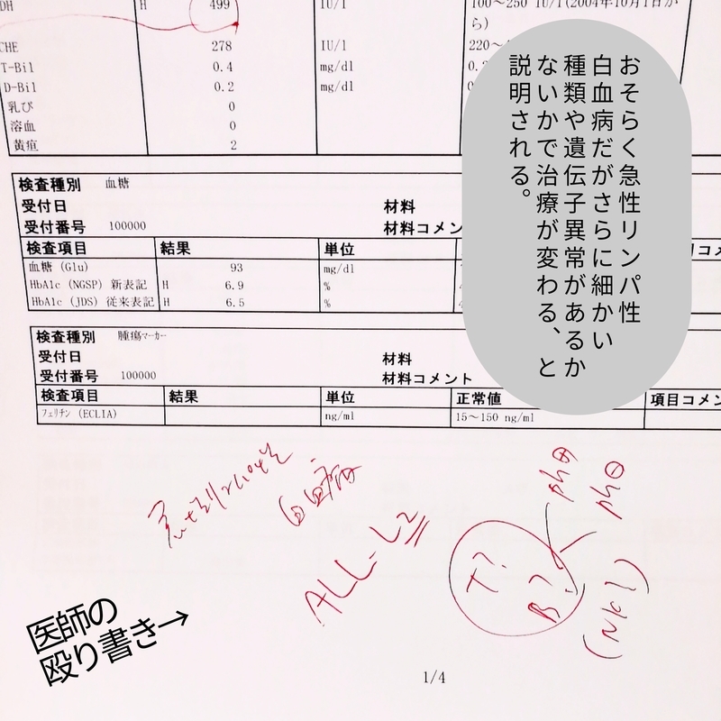 f:id:tanucomama:20200123123521j:plain f:id:tanucomama:20200123123521j:plain