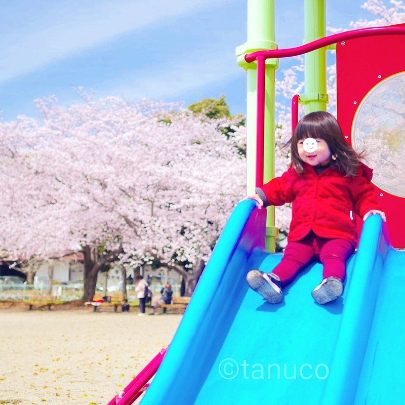 f:id:tanucomama:20200123133330j:plain f:id:tanucomama:20200123133330j:plain