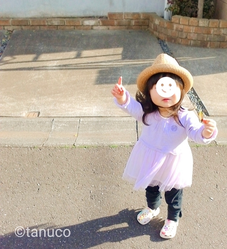 f:id:tanucomama:20200222214236j:plain