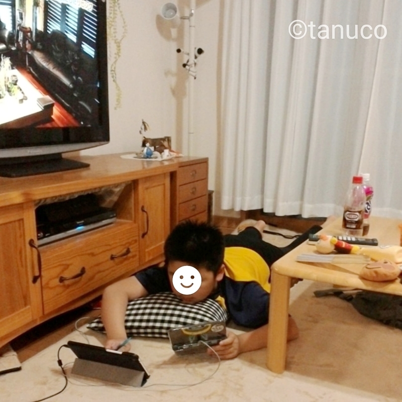 f:id:tanucomama:20200222232457j:plain f:id:tanucomama:20200222232457j:plain