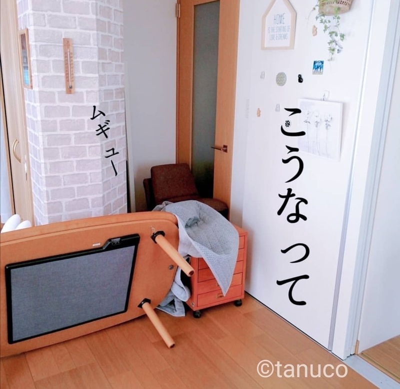 f:id:tanucomama:20200224115300j:plain f:id:tanucomama:20200224115300j:plain