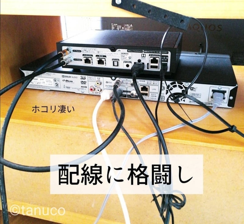 f:id:tanucomama:20200224115311j:plain f:id:tanucomama:20200224115311j:plain