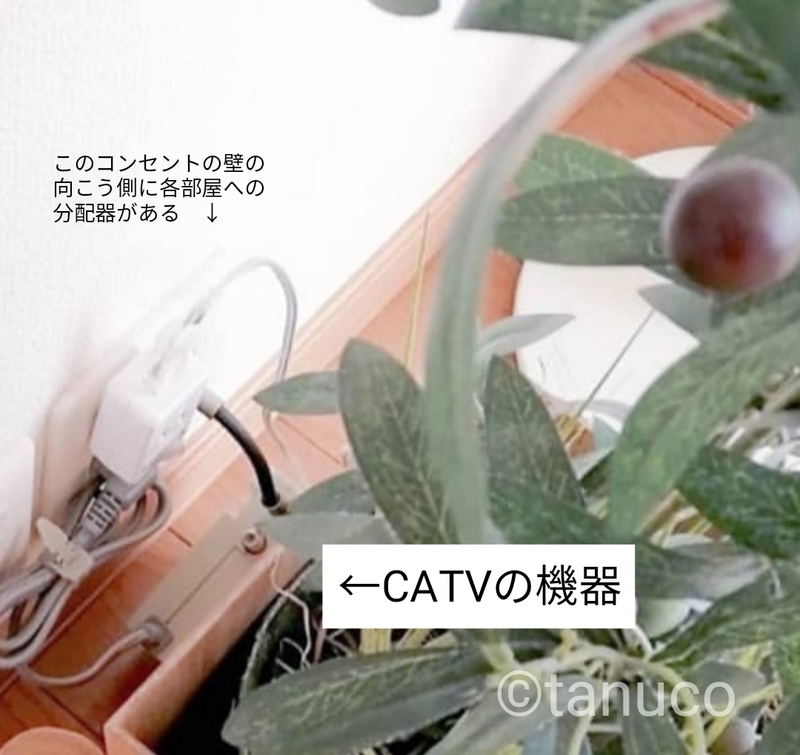 f:id:tanucomama:20200224121633j:plain f:id:tanucomama:20200224121633j:plain