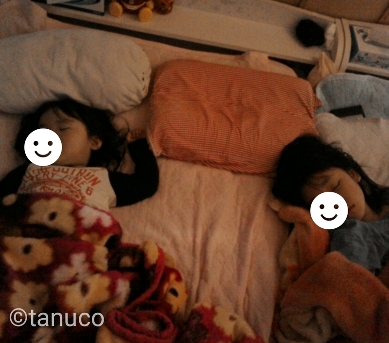 f:id:tanucomama:20200301124107j:plain f:id:tanucomama:20200301124107j:plain