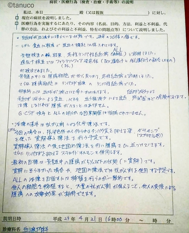f:id:tanucomama:20200301173750j:plain f:id:tanucomama:20200301173750j:plain