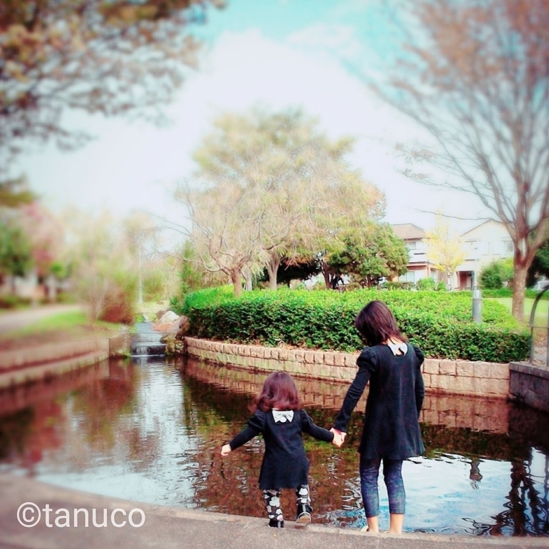 f:id:tanucomama:20200302111442j:plain f:id:tanucomama:20200302111442j:plain