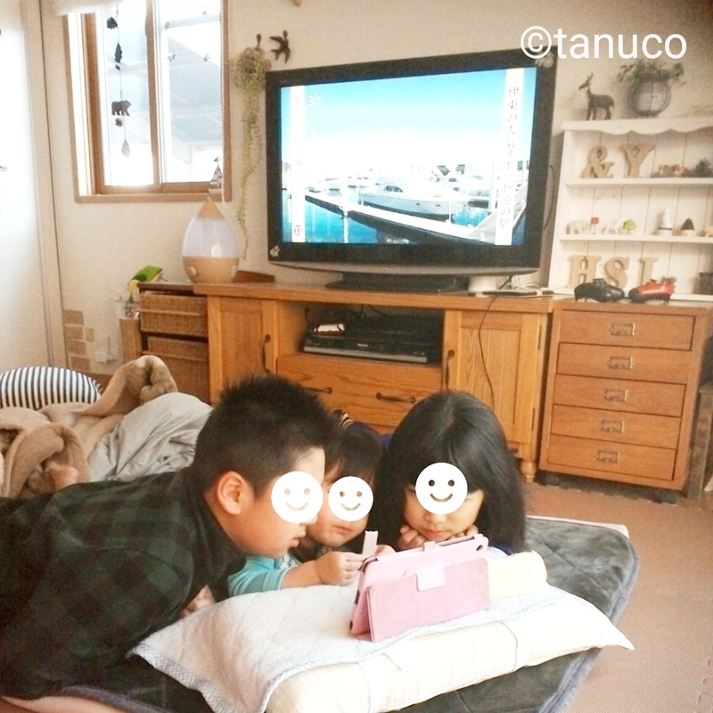 f:id:tanucomama:20200302145118j:plain f:id:tanucomama:20200302145118j:plain