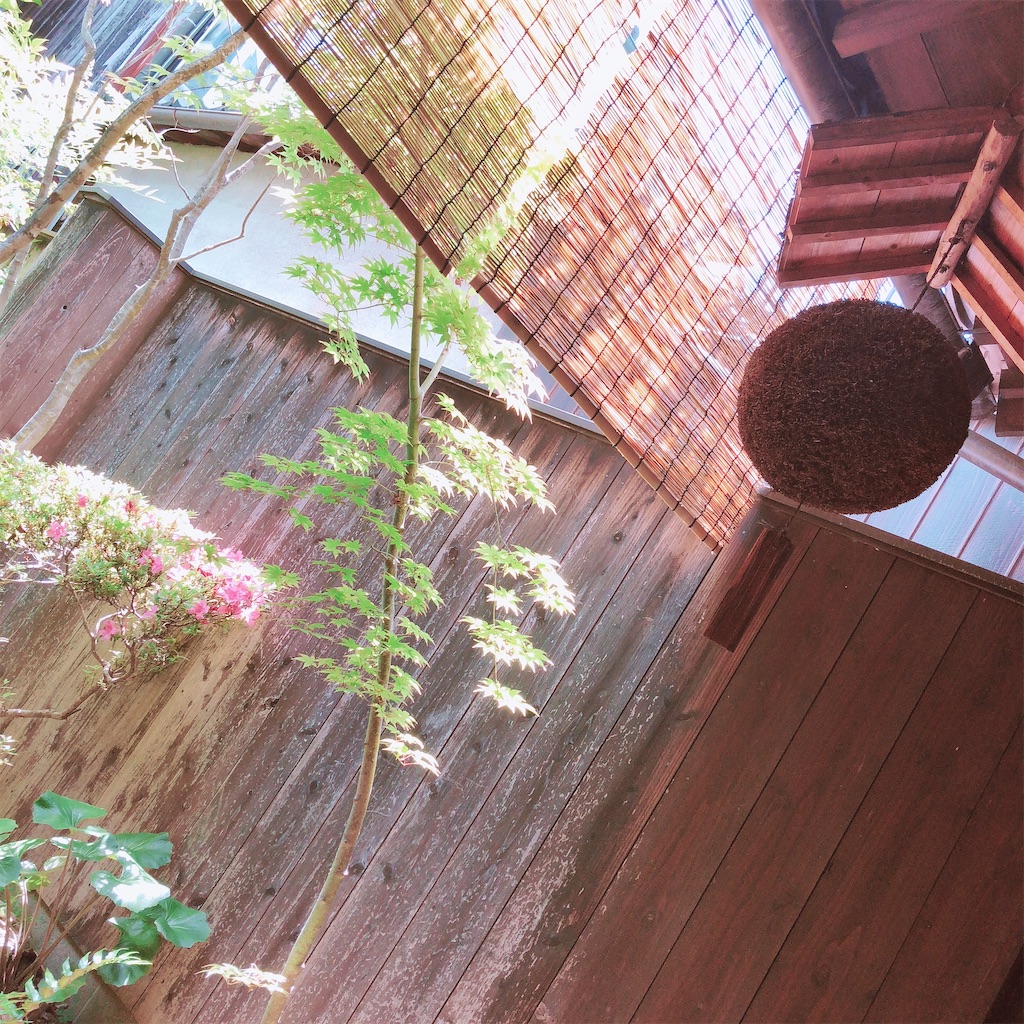 f:id:tanufuku:20200319203805j:image