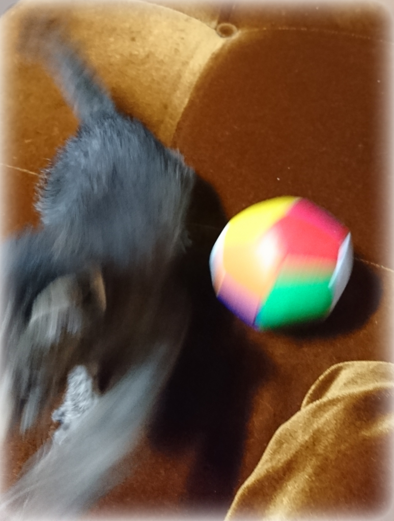 f:id:tanukc:20180530170310j:plain f:id:tanukc:20180530170310j:plain