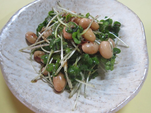 f:id:tanukichi-pon:20200519160514j:plain f:id:tanukichi-pon:20200519160514j:plain