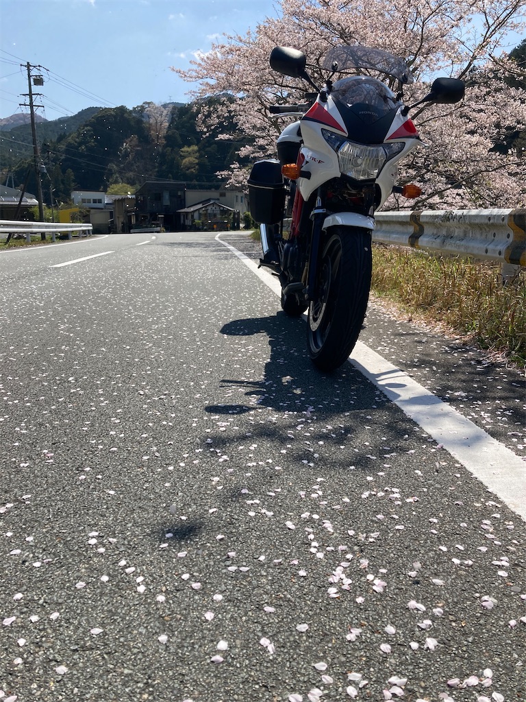 f:id:tanukichi_nyanta:20260403203407j:image f:id:tanukichi_nyanta:20260403203407j:image