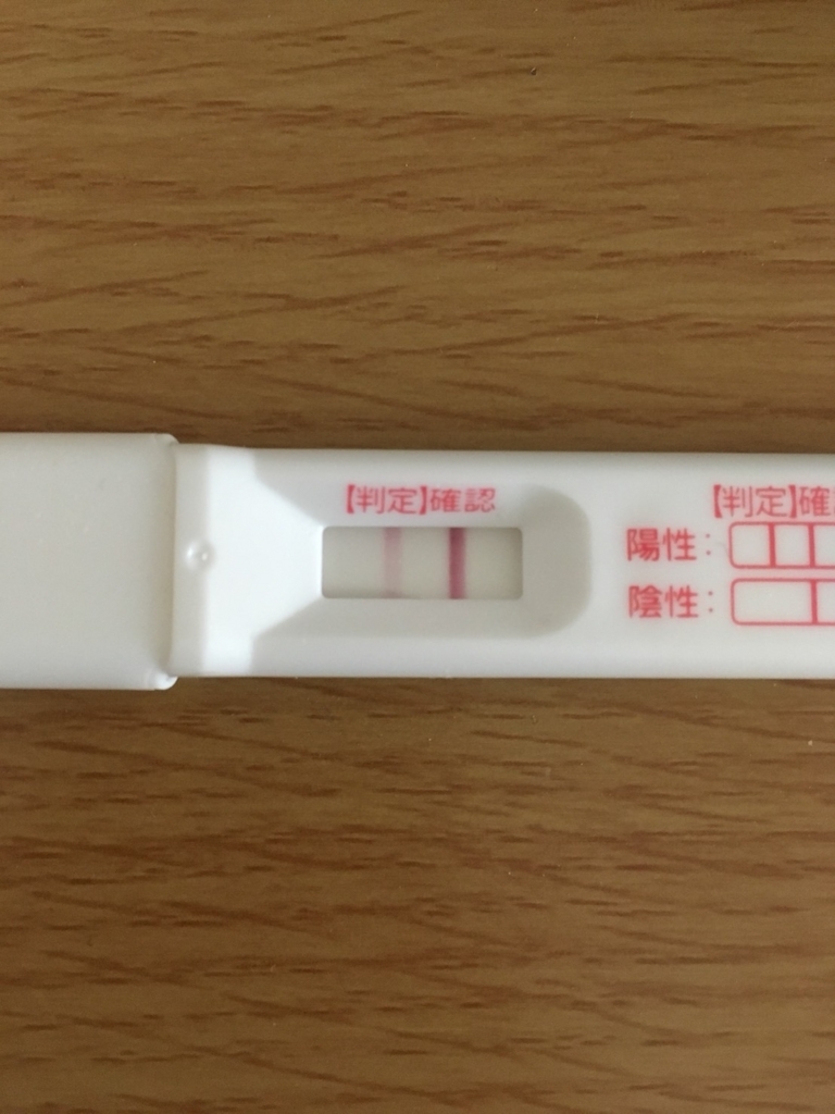 f:id:tanukichin:20180605001507j:plain