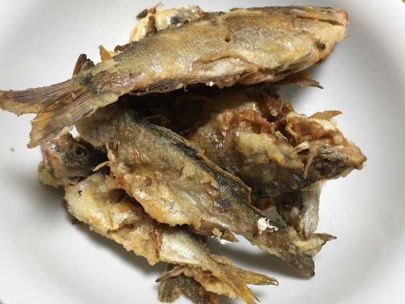 ボラ大群の中で６目釣り達成 第16回ふれーゆ裏釣行 ふれーゆ裏たぬきのトリック仕掛釣り日記