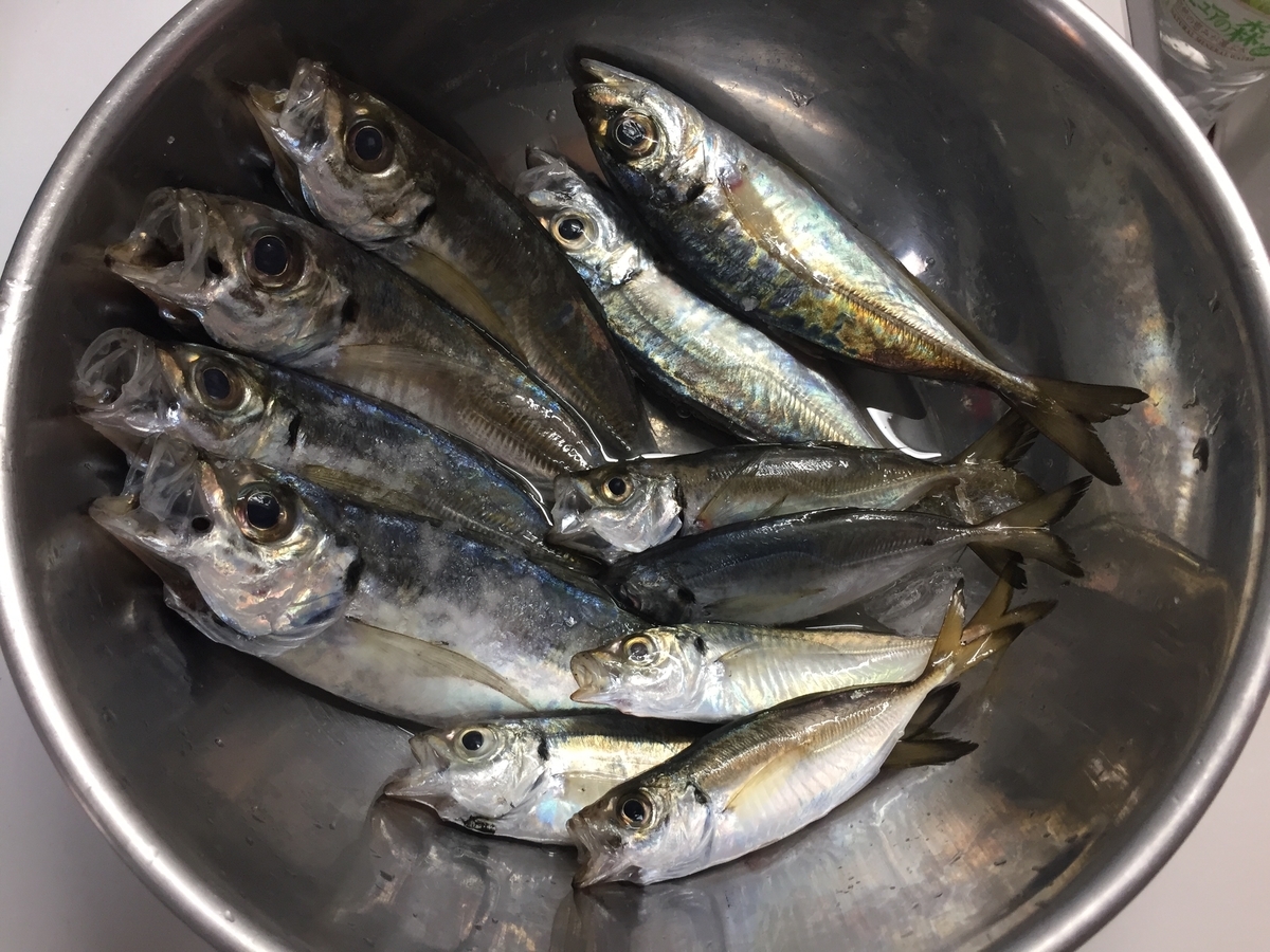 f:id:tanukifureiyu:20191012091333j:plain