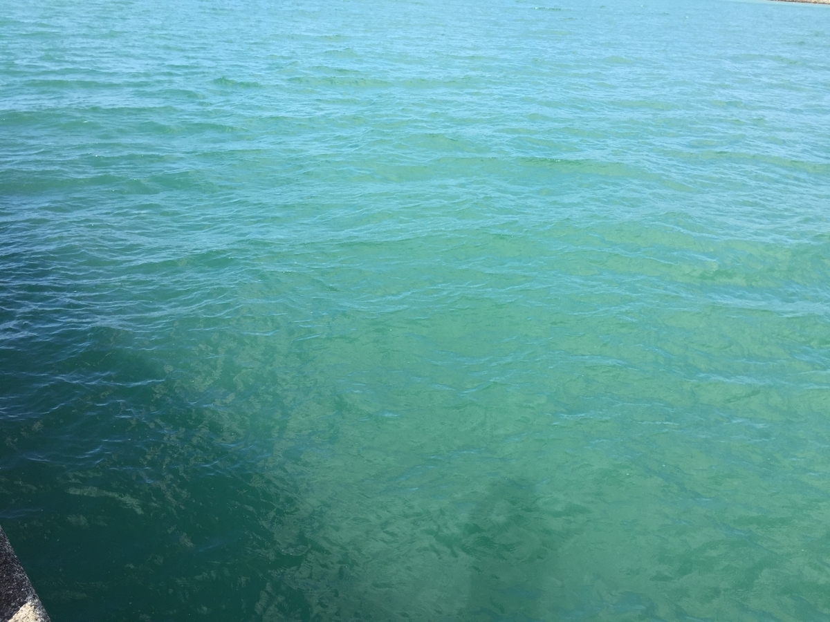 f:id:tanukifureiyu:20191120220521j:plain