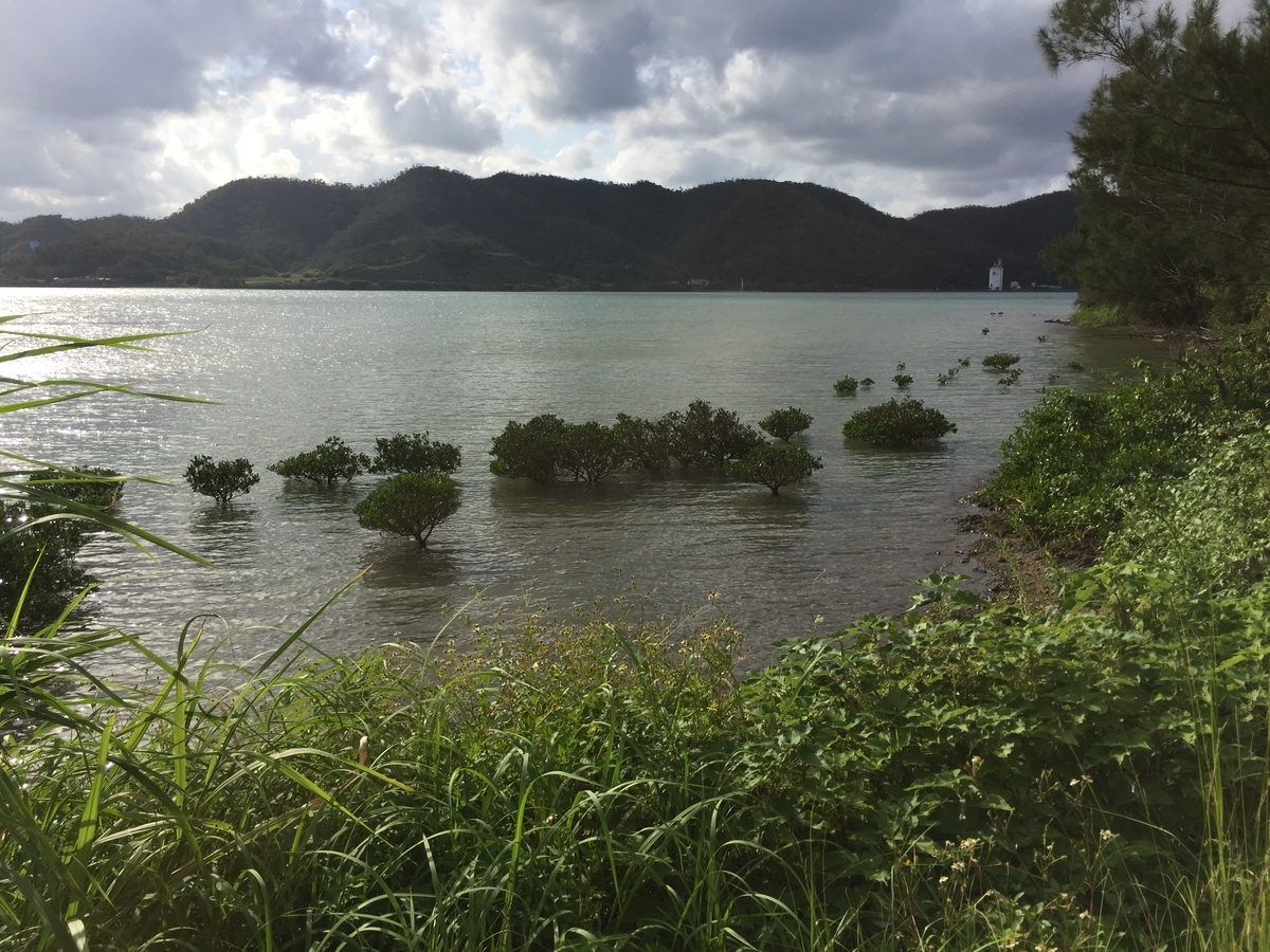 f:id:tanukifureiyu:20191120220617j:plain