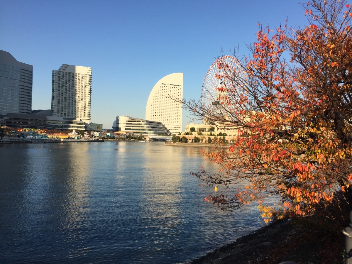 f:id:tanukifureiyu:20191215090135j:plain