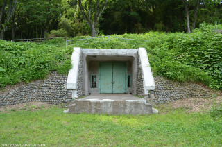 f:id:tanukifureiyu:20200520185907j:plain