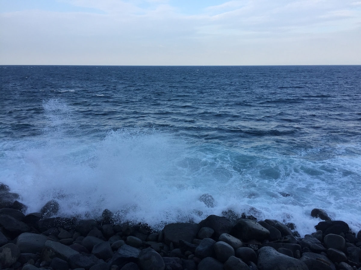f:id:tanukifureiyu:20200906205838j:plain f:id:tanukifureiyu:20200906205838j:plain