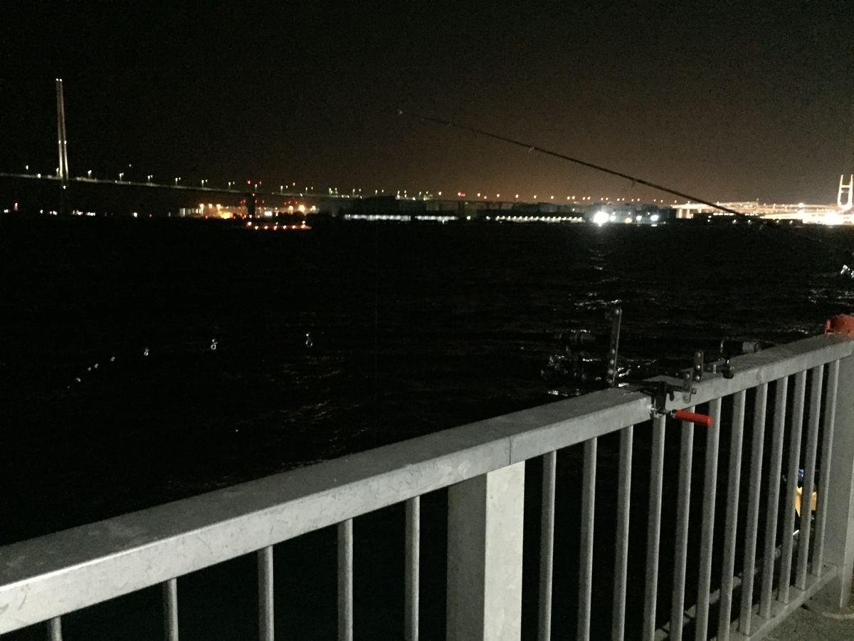 f:id:tanukifureiyu:20201115222041j:plain