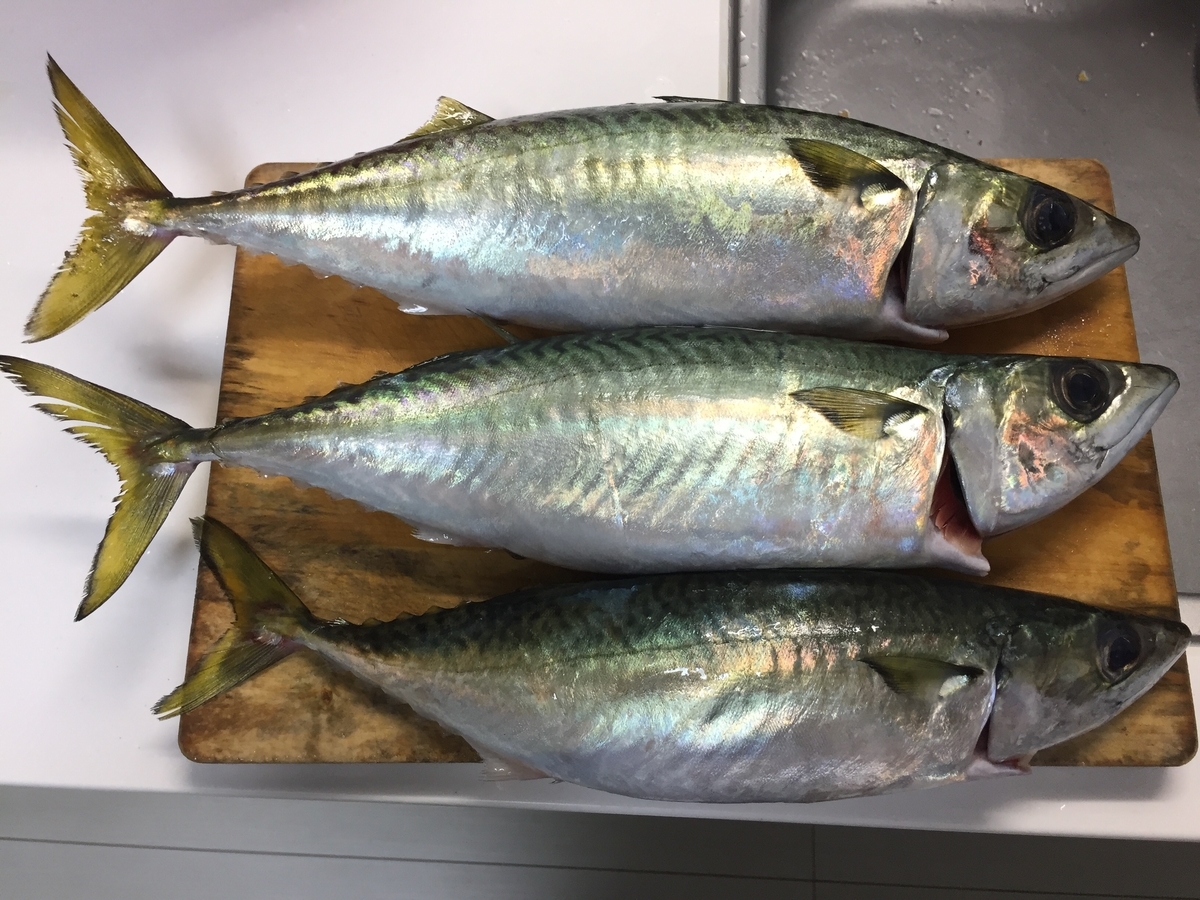 f:id:tanukifureiyu:20201205063833j:plain