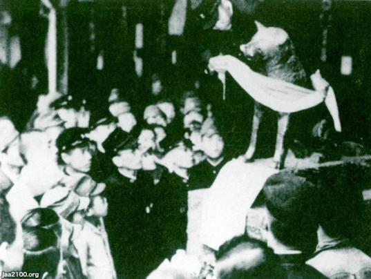 f:id:tanukifureiyu:20210623232007j:plain